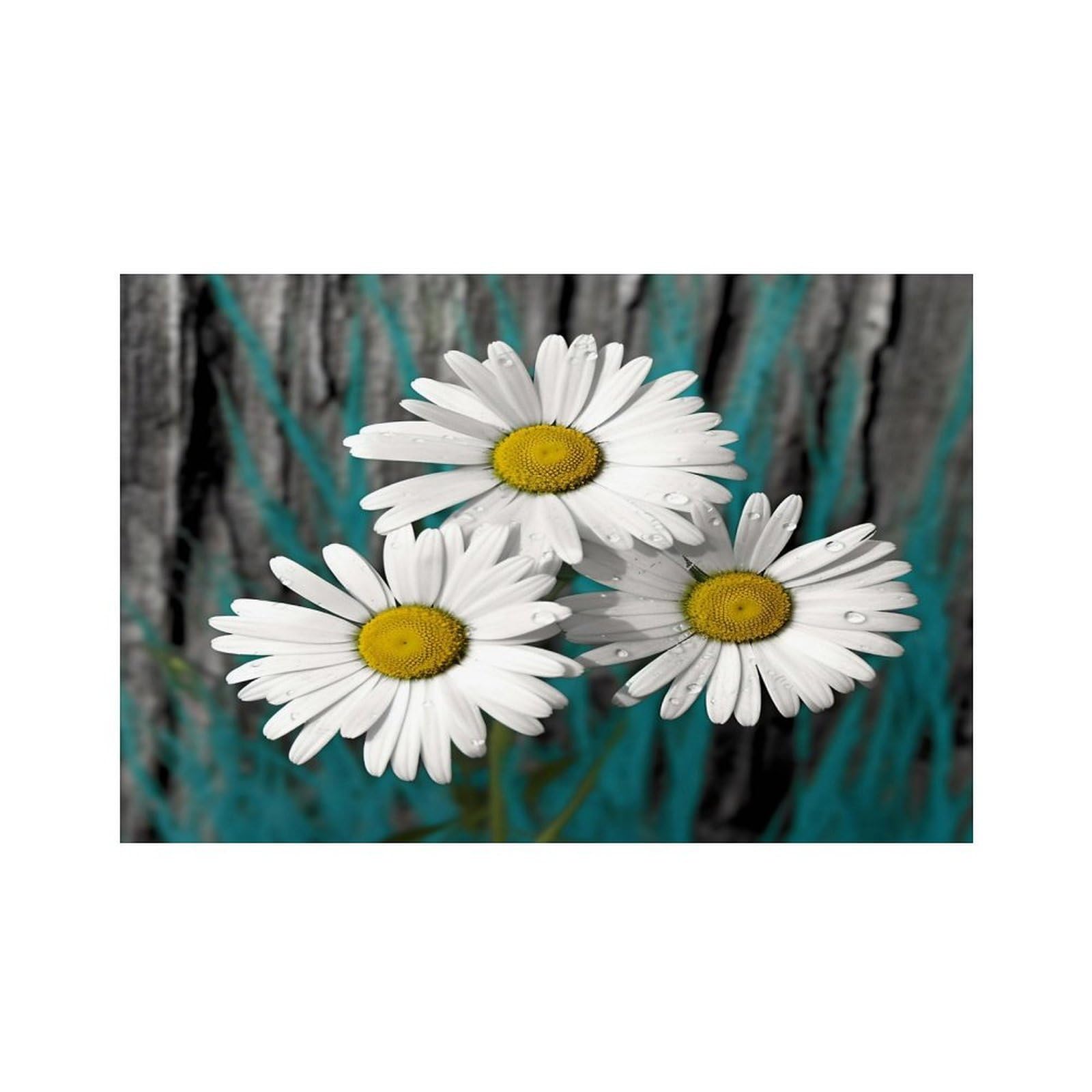 Daisy Flowers Placemats Non-Slip Heat Resistant Table Mats Flax Washable Cloth Place Mats Easy to Clean Premium Placemat for Kitchen Dining Table Decor Party Outdoor
