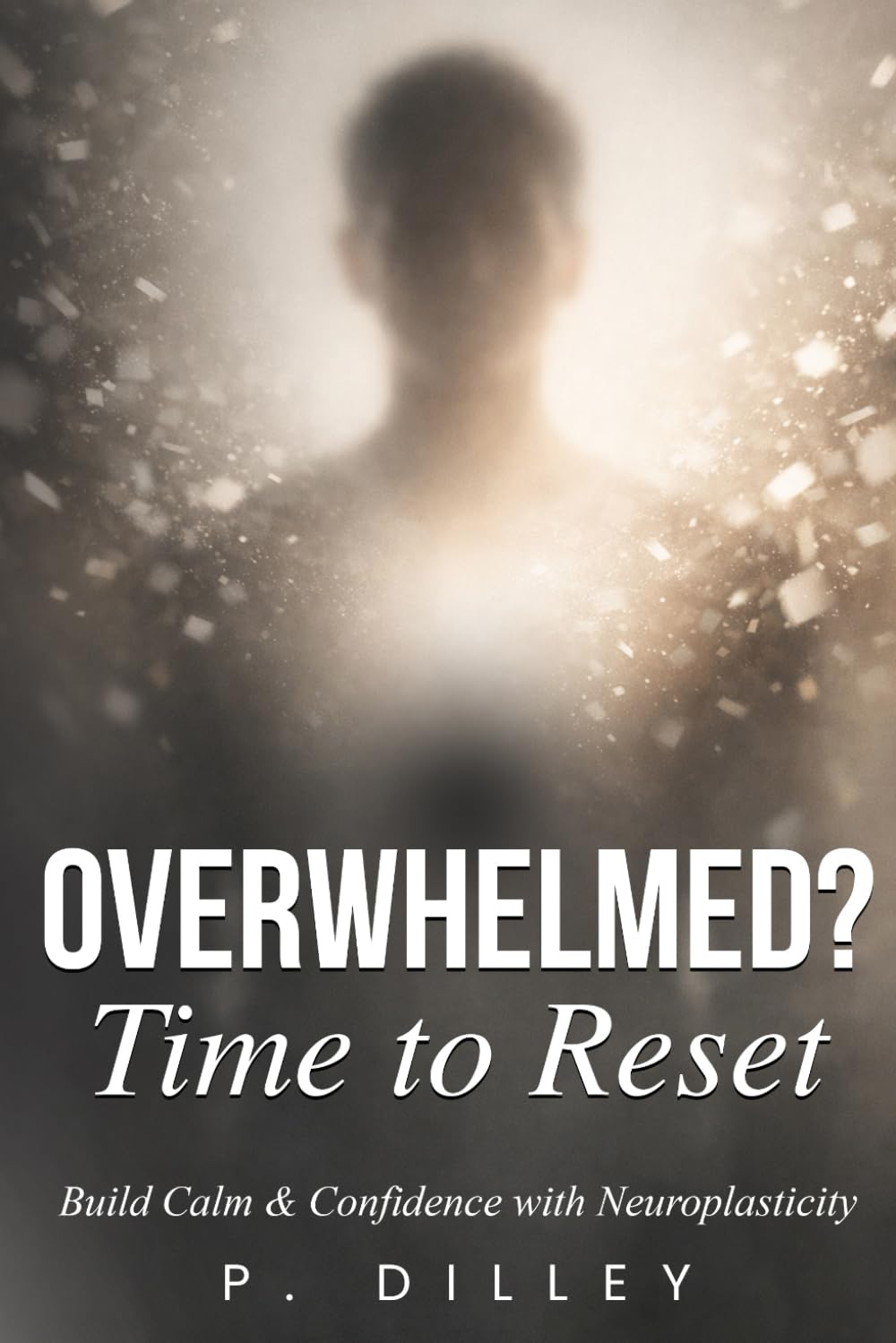 Overwhelmed? Time to Reset.: Build Calm & Confidence with Neuroplasticity (The Neural Reset Series)