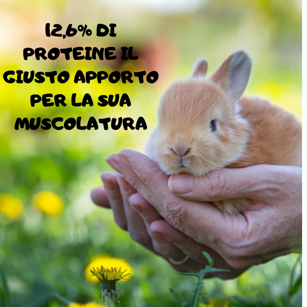Badia Mangime per Coniglio: Confezione da 10 kg di Nutrizione Equilibrata per Conigli e Conigli Nani, il Cibo Essenziale per il Benessere dei tuoi Piccoli Amici!