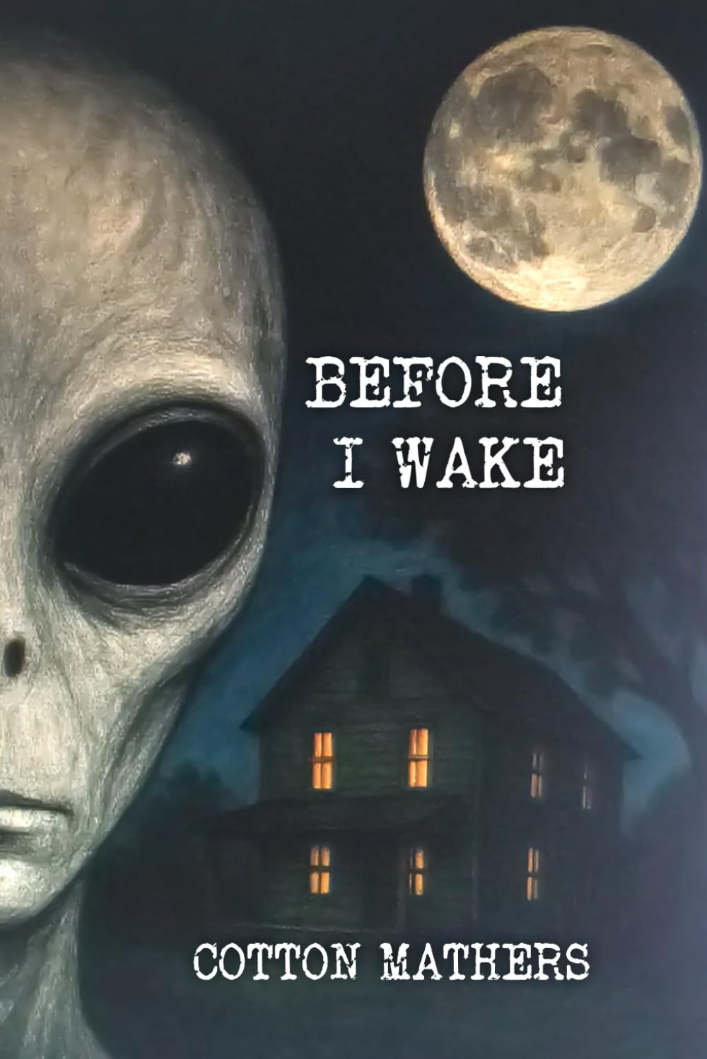 Before I Wake
