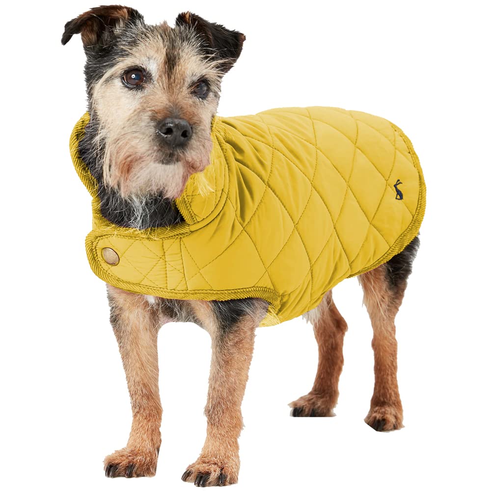 Rosewood x Joules Antique Gold Quilted Coat for Dogs, Large, Washable, Lightweight, Warm Winter Dog Jacket for Large Dogs โ image 1
