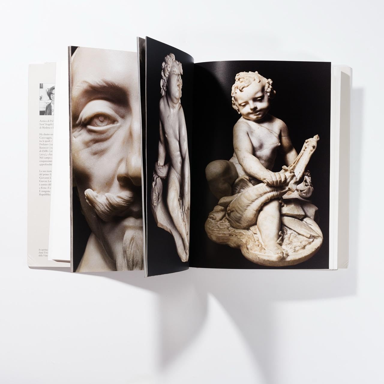 Bernini. Catalogo delle sculture. Ediz. a colori