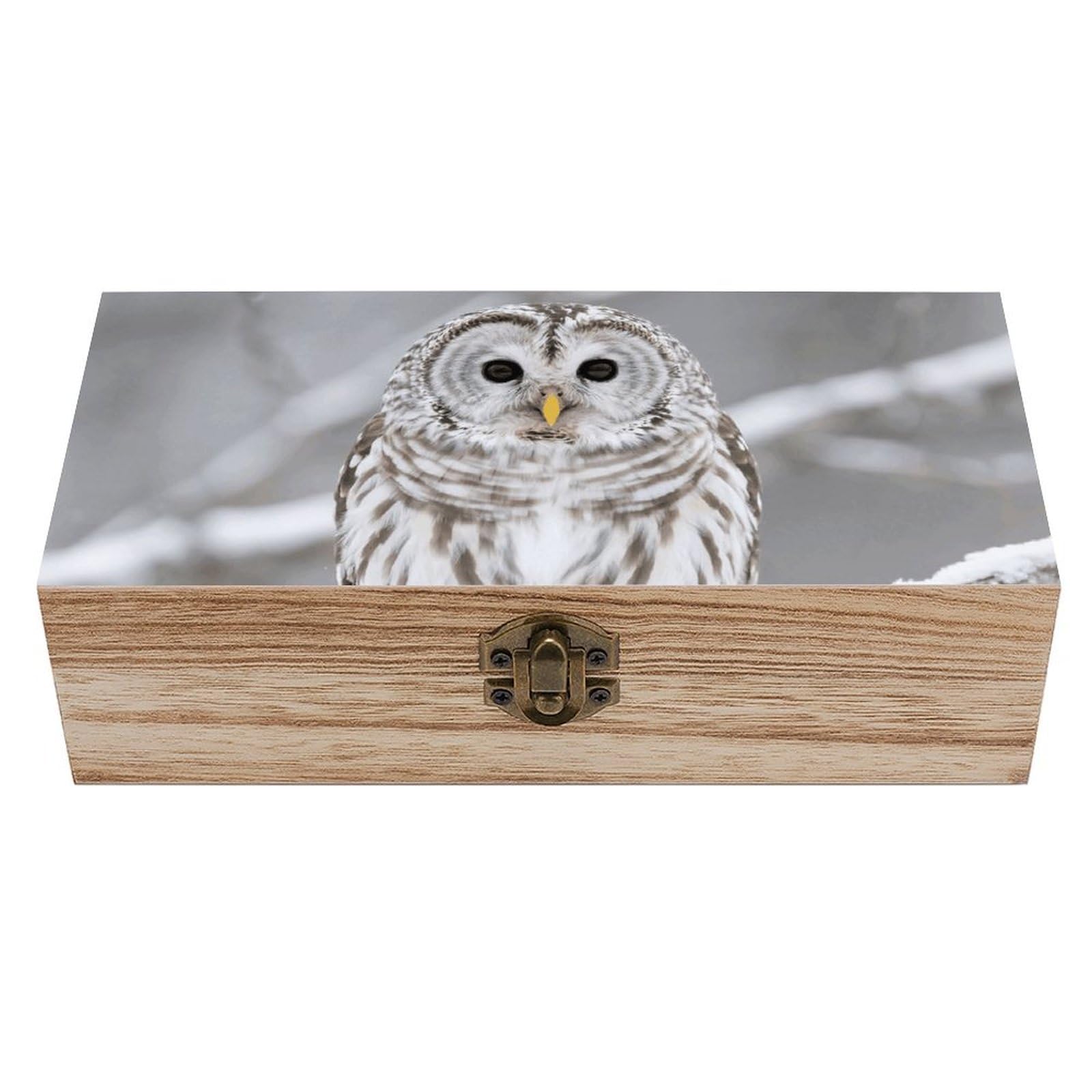 Decorative Keepsake Box Wooden Storage Boxes with Hinged Lid Handmade Curious Barred Owl Closeup Wood Organizer Memory Treasure Box for Jewelry Craft Card Photo Storage Wedding Bridal Shower Gifts