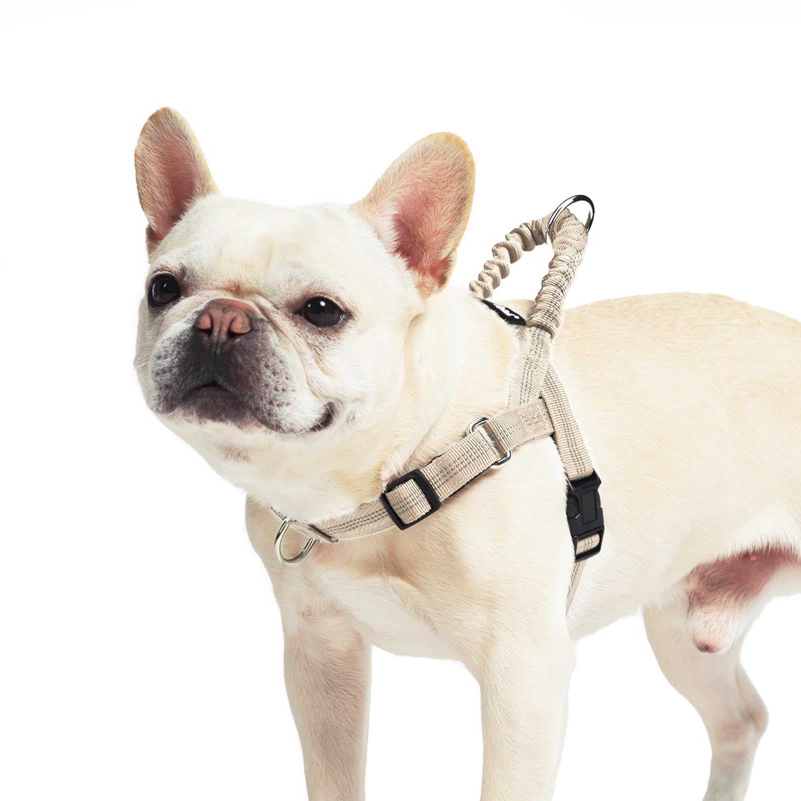 PUPTECK No Pull Dog Harness Small Sized Dog, Adjustable Reflective Pet Vest Harness with Bungee Handle, Escape Proof No Choke Harness for Small Dogs