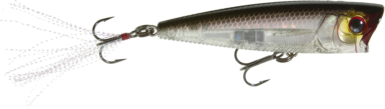 Yo-Zuri 3DB Popper Floating Lure, Prism Ghost Shad, 3-Inch : Fishing Equipment : Sports & Outdoors