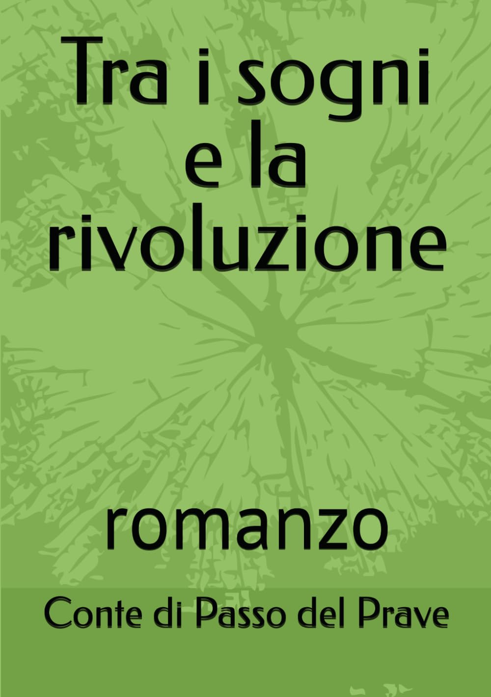 Tra i sogni e la rivoluzione: romanzo