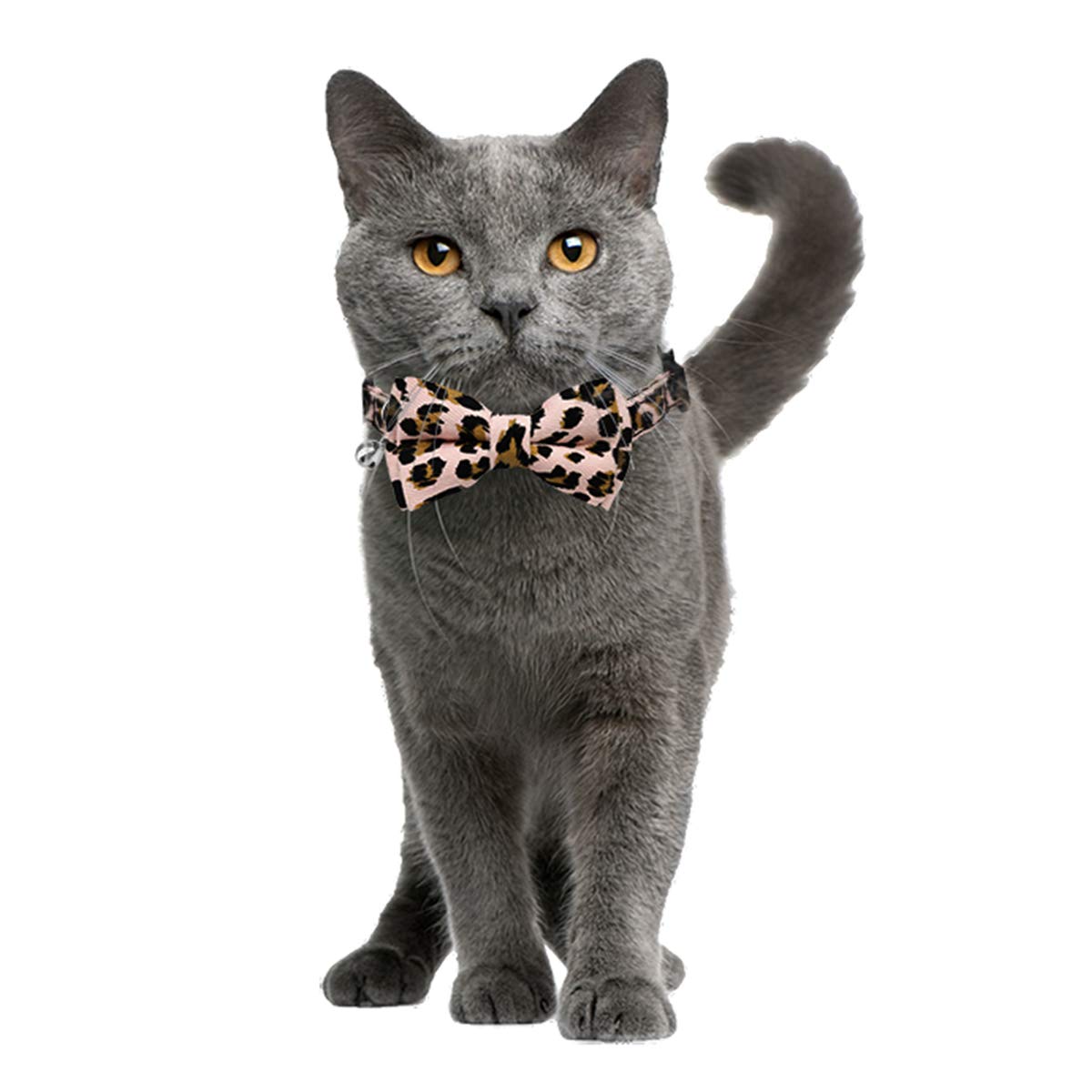 Katzenhalsband, mit Schleife und Glöckchen, verstellbar von 19 - 26 cm, 2 Stück