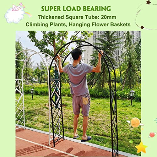 Arche de jardin en métal robuste support de rosier haut de gamme