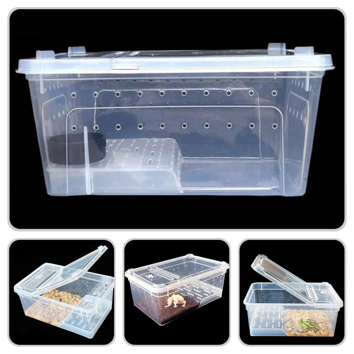 ifundom Acquario per Tartarughe e Rettili con Piattaforma per Crogiolarsi, Vaschetta in Plastico con Area Riposo e Alimentazione, per Osservazione e Habitat Terrestre
