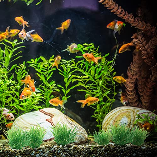 Image of Piutouyar Green Aquarium Plant Ornaments, Artificial Water Plants, Lifelike Plastic Fish Tank Foreground Grass, Water Tank Decorations (10Pcs)