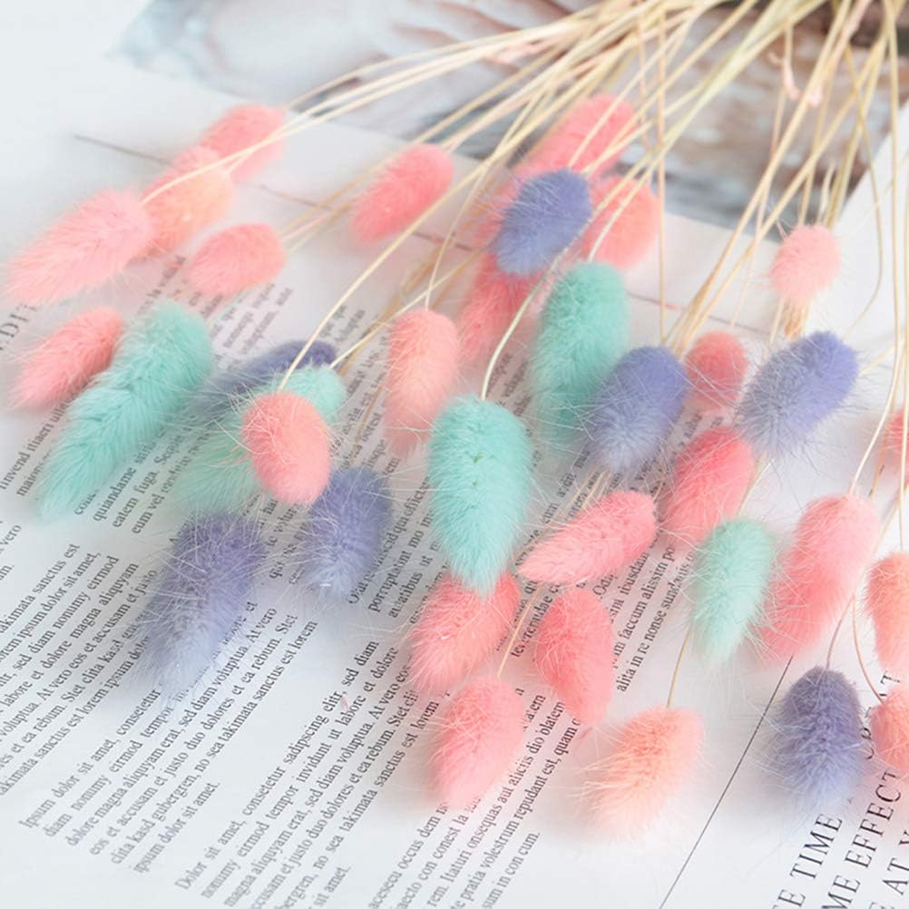 160 Pcs Natural Dried Lagurus Ovatus Flowers Artificial Uraria Picta Bunny Rabbit Tail Grass Bouquet Lagurus Plant Stems Eternal Real Flower Bouquet Bunche Photo Props Home Party&Wedding Decor