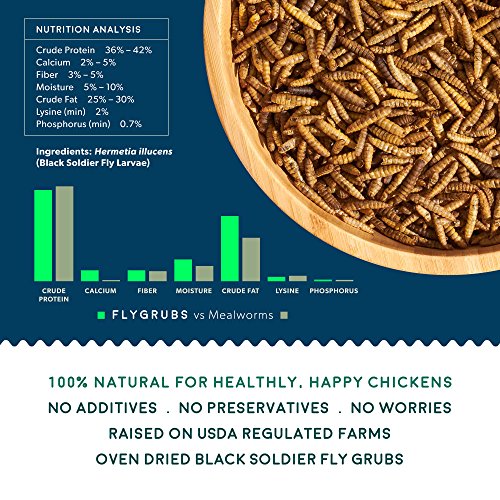 Flygrubs Superior To Dried Mealworms For Chickens (5Lb) - 85X More Calcium Than Live Mealworms - Non-Gmo Chicken Feed - Bsfl Treats For Hens, Ducks, Turkeys, Wild Birds, Turtles, Quails #TOP1