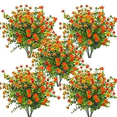 Orange-eucalyptus