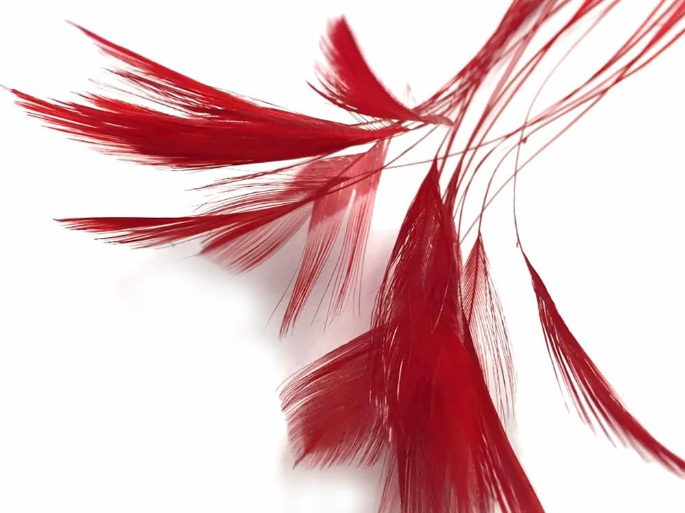 1 Dozen - Red Stripped Rooster Neck Hackle Eyelash Feather Millinery Fly Tying Costume Craft Supply | Moonlight Feather