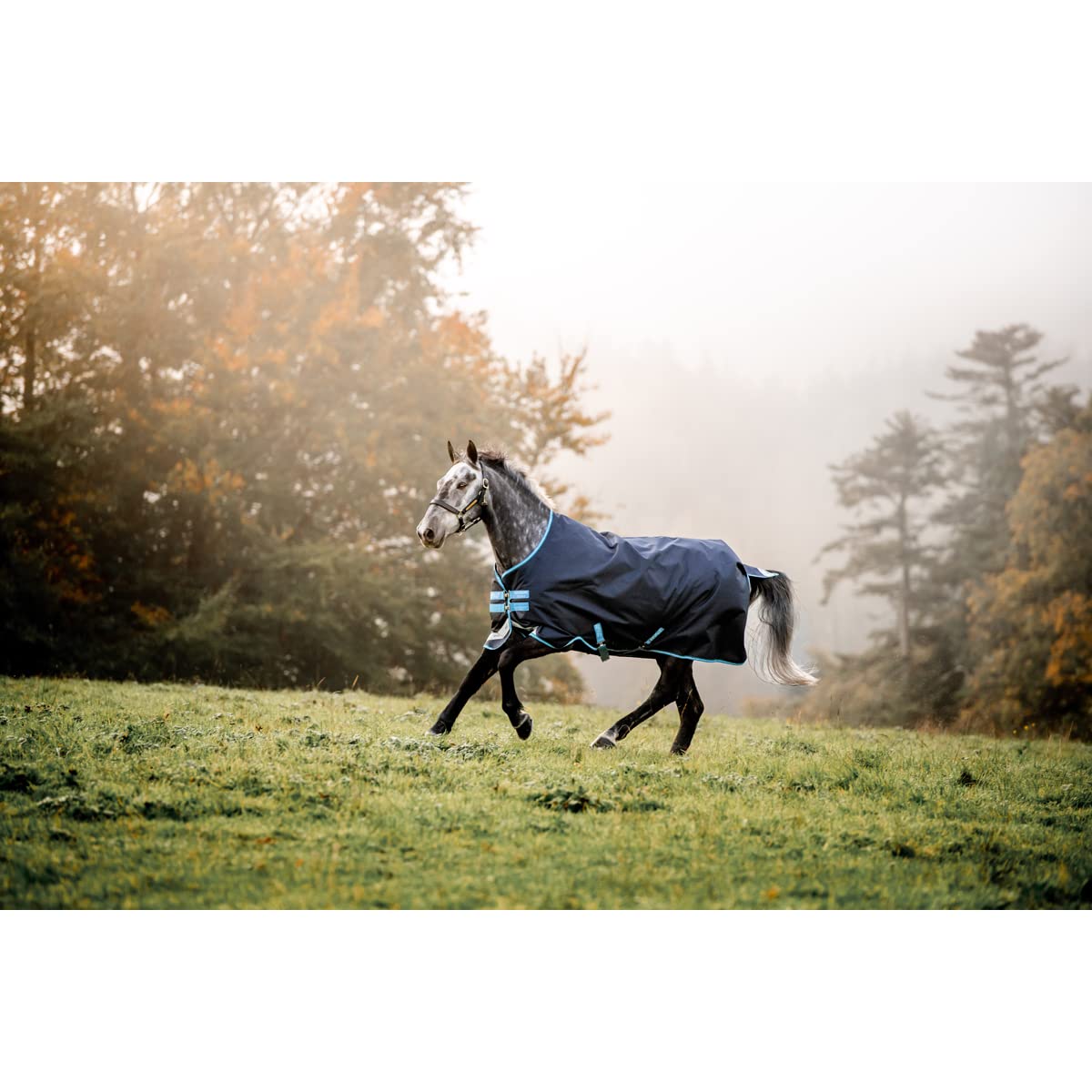 Horseware Manta para Caballos de Exterior Amigo Bravo-12 T/O 100G W/LA