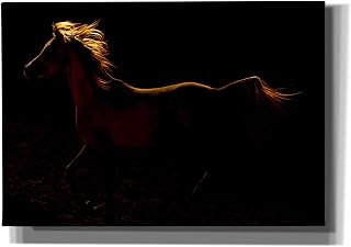Epic Graffiti 'Rim Light' by Susan Friedman, 26"x18"