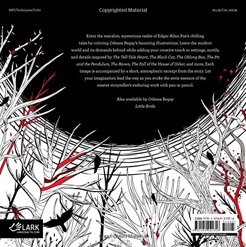 Sterling Publishing LB-21356 Lark Books, Egglectic 100/Pkg - Image 2