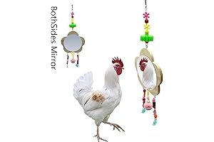 Hen House Essentials - Vehomy Entertainment for Chicks