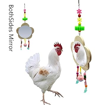 Vehomy Chicken Toys for Hens with Mirrors Chicken Wood Mirror Toy with Bell for Chicks Hens Roosters
