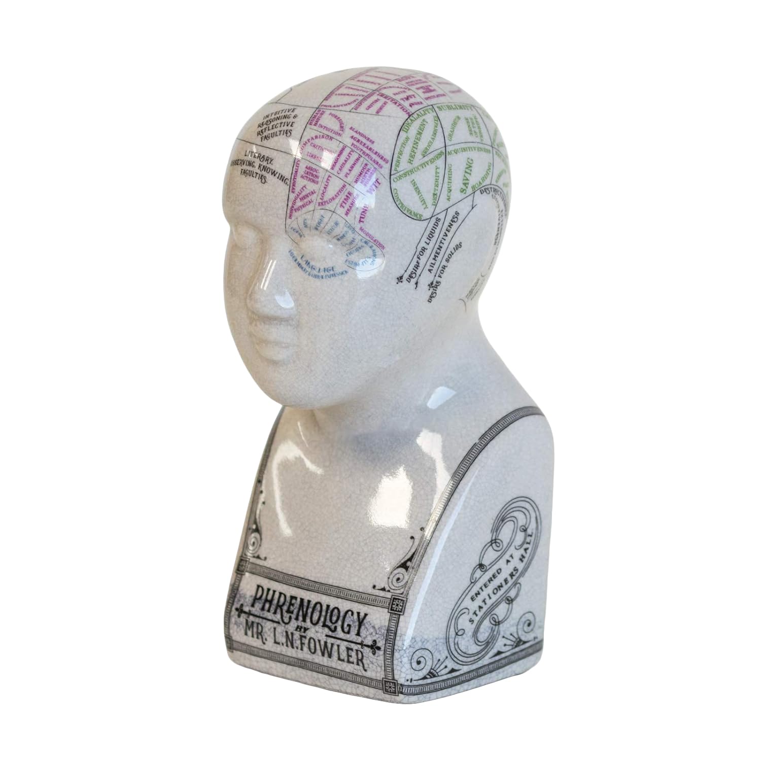 Darthome 15cm Phrenology Head Bust with Crackle Glazed Ceramic Finish