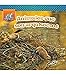 Rourke Educational Media Animales que son arquitectos (Animal Architects), Guided Reading Level H Reader (Mi Biblioteca de Ciencias Biol?gicas) (Spanish Edition)