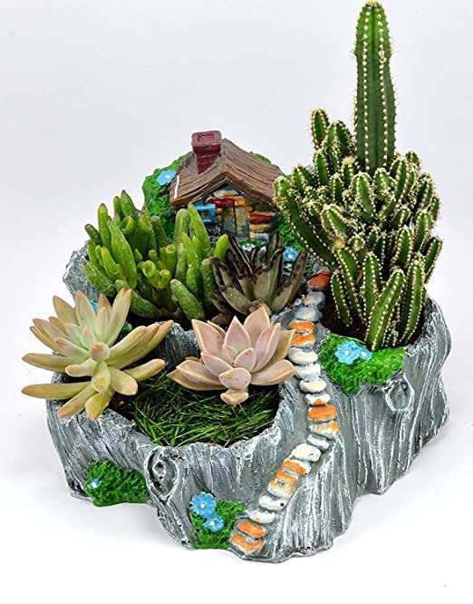 See full amazon price history chart for Ftoon Props Fairy Garden Design Resin Planter for Garden Decor, Unique Fairy Garden Planter, Succulent Planter Decor, Planter for Gifts, Fairy Garden Ftoon Props Fairy Garden Design Resin Planter for Garden Decor, Unique Fairy Garden Planter, Succulent Planter Decor, Planter for Gifts, Fairy Garden (B0C3QQXX1Y) Amazon Price History, Amazon Price Tracker