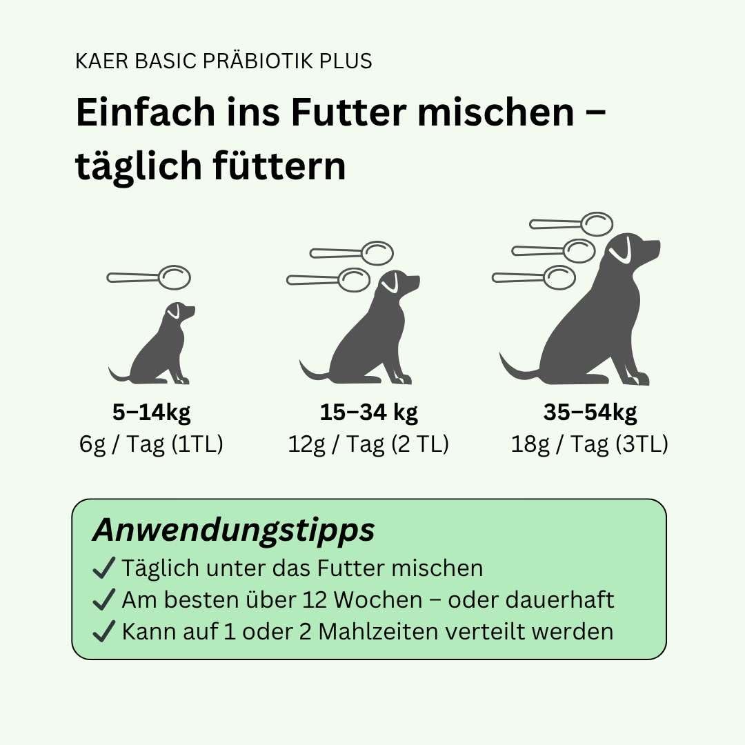 Prebiotico Plus per cani, per ghiandole anali ostruite, mangimi di escrementi, prurito, leccare le zampe e bruciore di stomaco, con fibre naturali per rafforzare la flora intestinale, 500 g