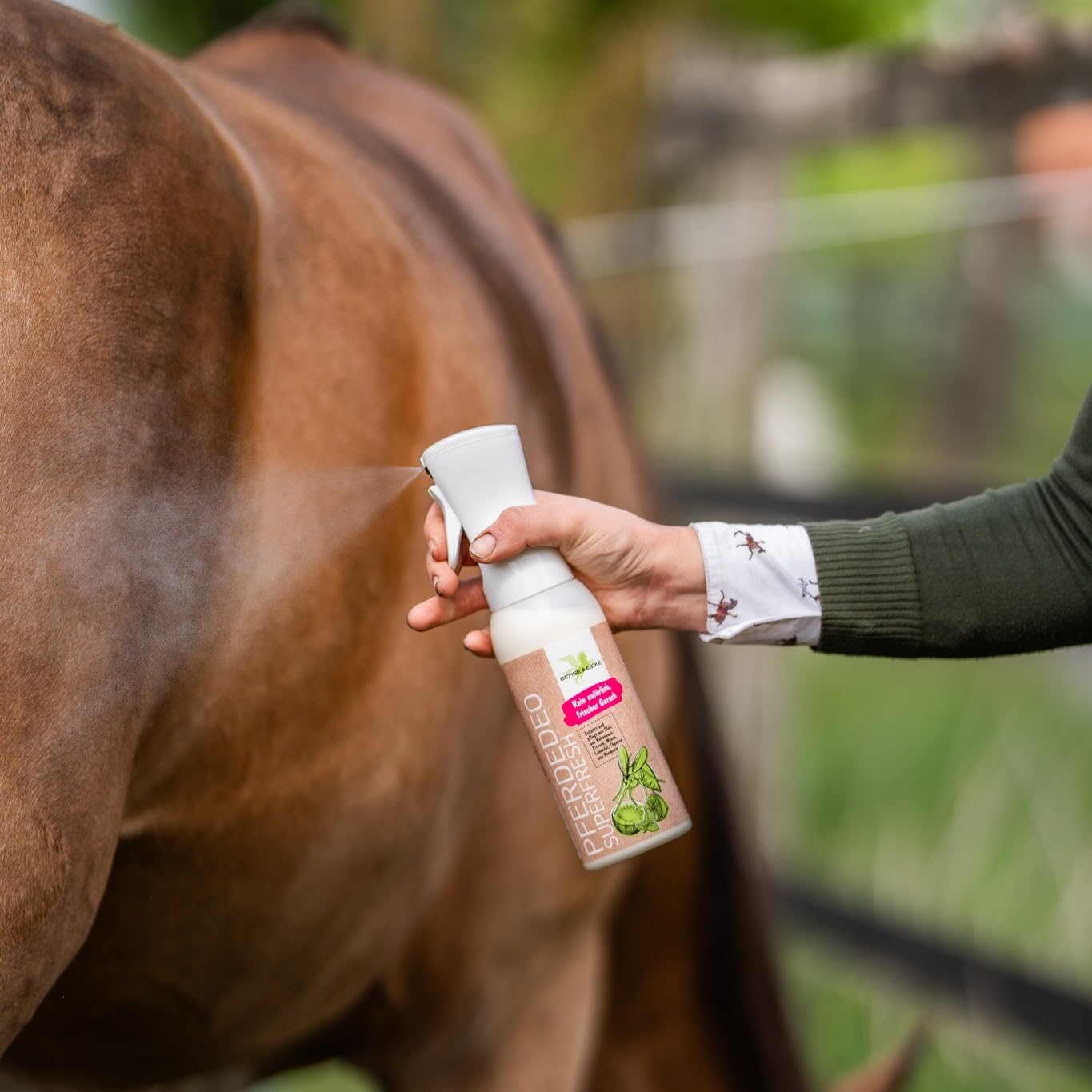 Bense & Eicke PferdeDeo Superfresh 500 ml - Natürliches Pferdedeo Spray für Fellpflege, frischer Duft, pflegende Öle, Keine Flecken Duftnote: Kokosnuss, Zitrone, Minze, Lavendel, Thymian und Rosmarin