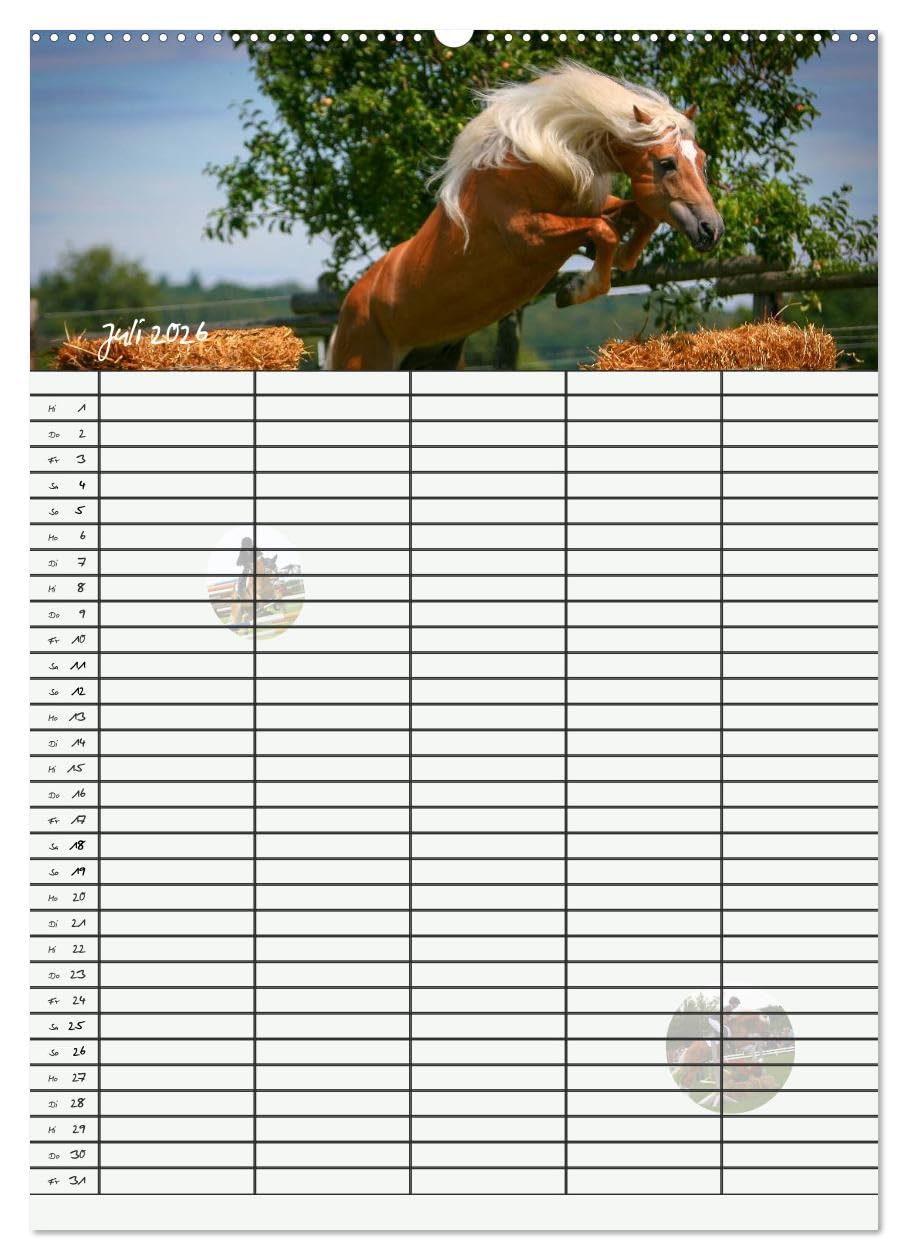 Haflinger Pferde - Stall- und Familienplaner 2026 (hochwertiger Premium Wandkalender 2026 DIN A2 hoch), Kunstdruck in Hochglanz: Stallplaner und ... Blick mit Haflinger Pferden (CALVENDO Tiere)
