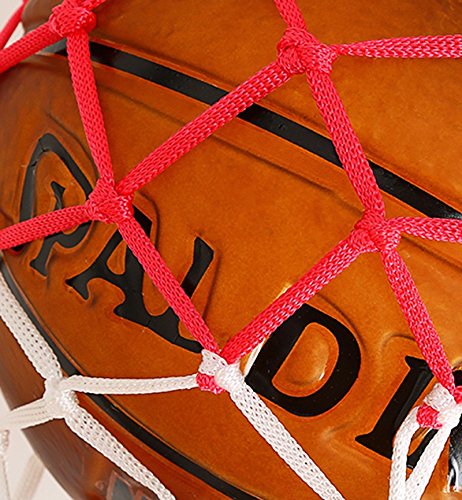 The harvest season- Camera di pallacanestro Luce