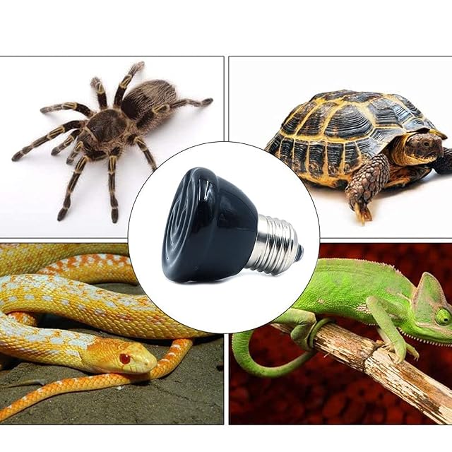 Foto 6 de 7 de ANCLLO E27 Bombilla infrarroja lejana lámpara de calefacción de Mascotas de cerámica para Lagarto Fruta araña…