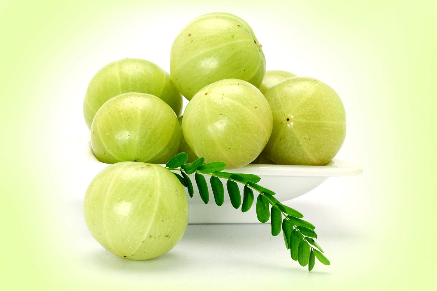 A D FOOD & HERBS Organic Dried Amla Powder/Amalki Churna/Indian Gooseberry Powder/Embica Officinalis (- 20 Gms) — Amazon image 4