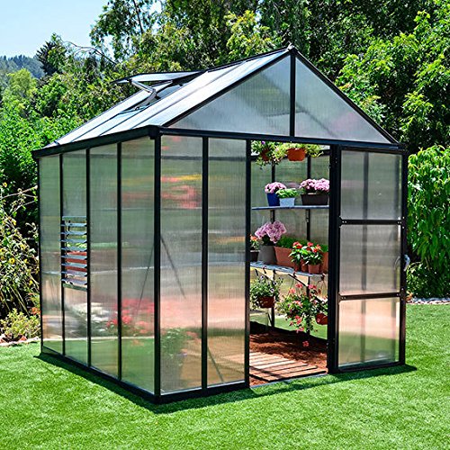 Gärtner Pötschke Palram Glory - Invernadero (8 x 8 cm, base de acero y accesorios, 244,5 x 244,5 x 268,5 cm), color gris