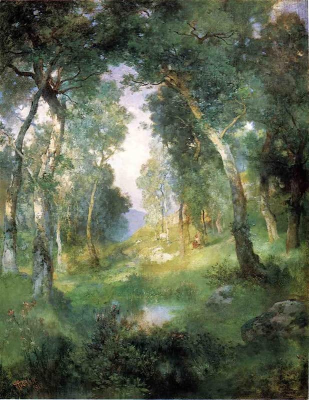 Impression sur toile forêt Santa Barbara Julius Leblanc Stewart affiches décoration
