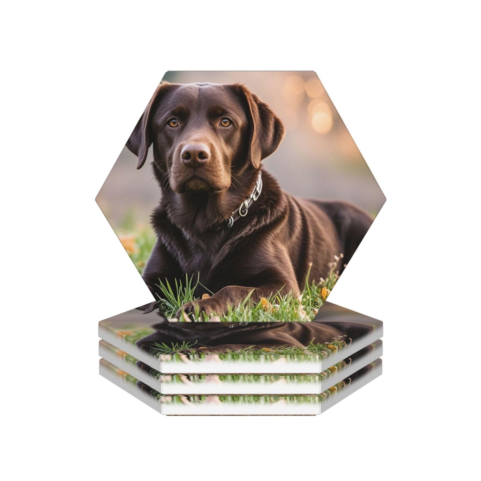 Drink Coasters Set of 4 Coffee Ceramic Coaster Brown Labrador Retriever Coasters for Drinks Coffee Cup Mat Heat Resistant Tabletop Protection Coaster Desk Accessorie Home Decorative