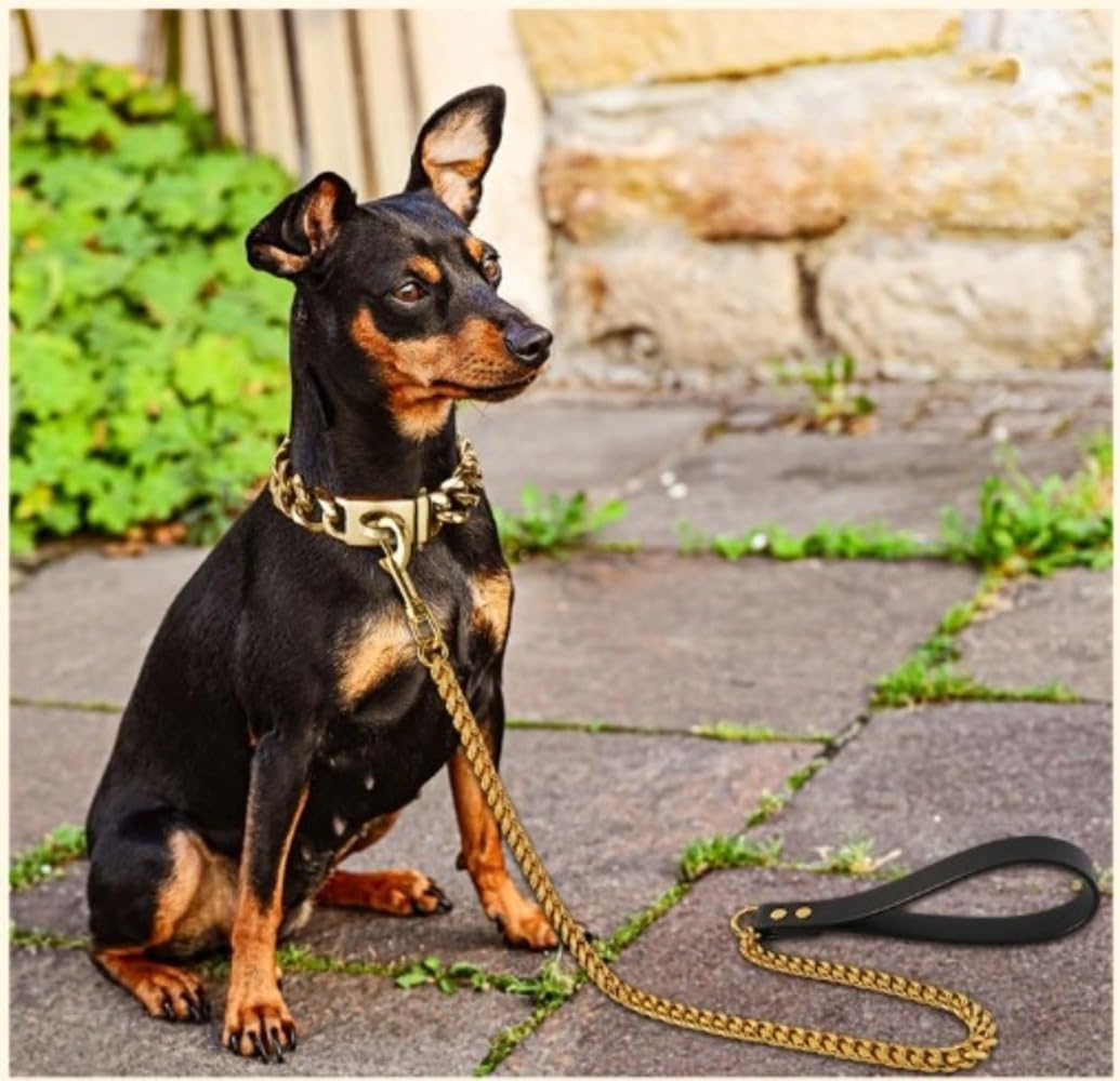 Amazon | ゴールド犬用リード、大型犬用ゴールドリード首輪、レザー