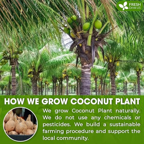 Image of FreshDrinkUS, Premium Coconut Milk Powder 16oz, Creamy & Rich Coconut Flavor, Great for Cooking, Baking, Smoothies & Drinks - Pure, Premium Quality, Gluten-Free, Dairy-Free, Vegan-Friendly
