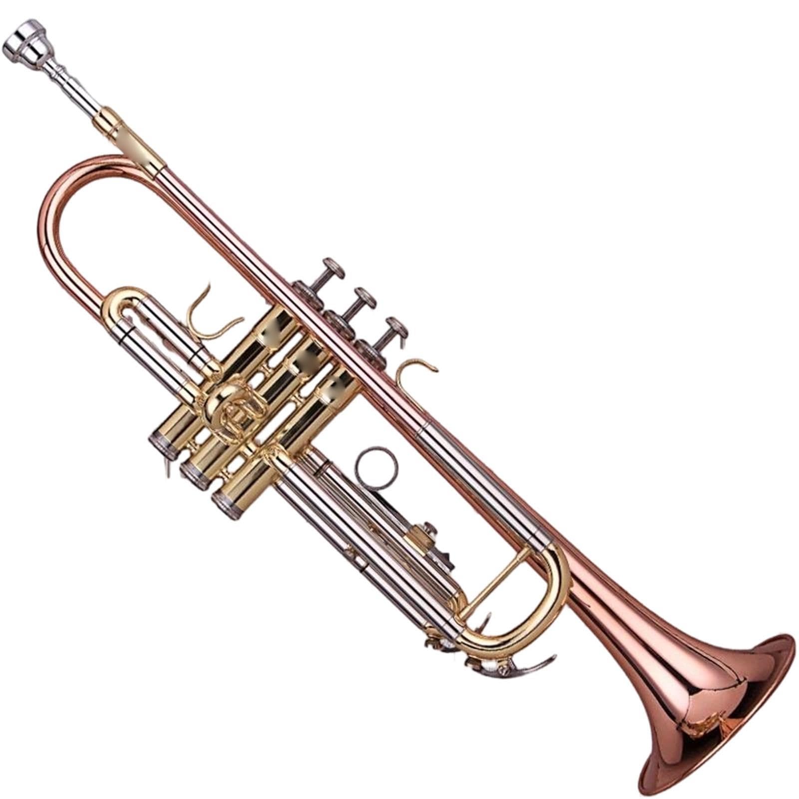 Standard Trumpet Trąbka Bb dla początkujących