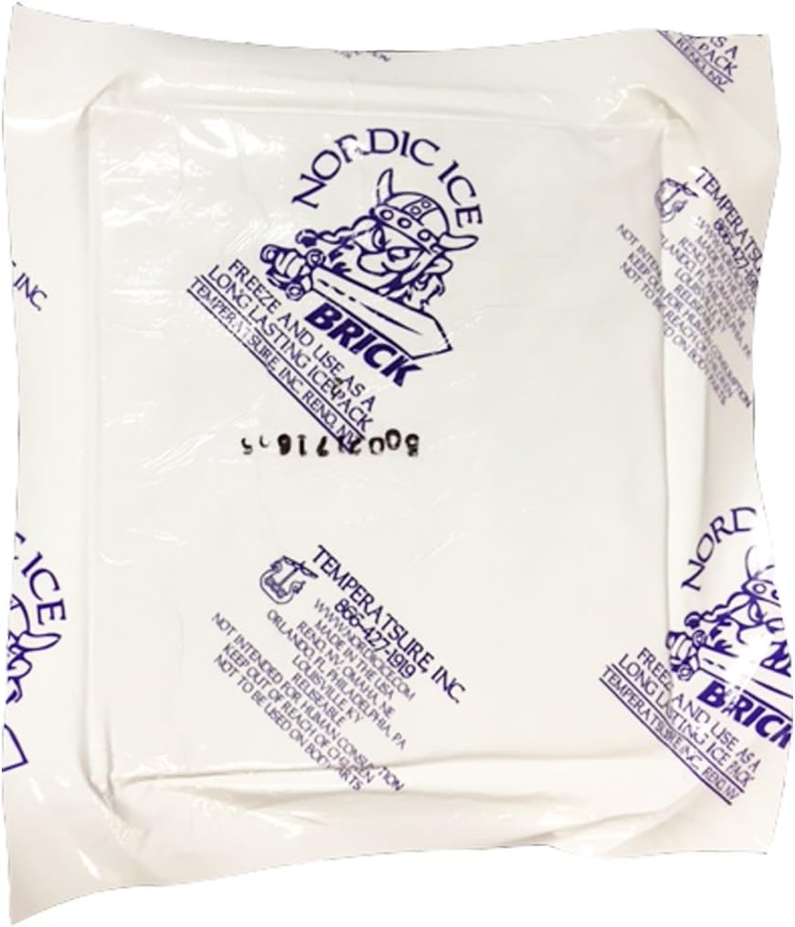 NOR1080 15 oz. Reusable, Long-Lasting Freeze Brick Foam (Pack of 6)