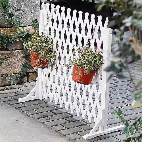 Solution de décoration de jardin rétractable contre le vis-à-vis - 4