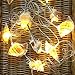 WSgift LED String Lights, Ocean Conch Beach Themed Battery Powered 9.18 ft 10 LEDs Lights for Indoor, Outdoor Decoration Projects (Warm White)