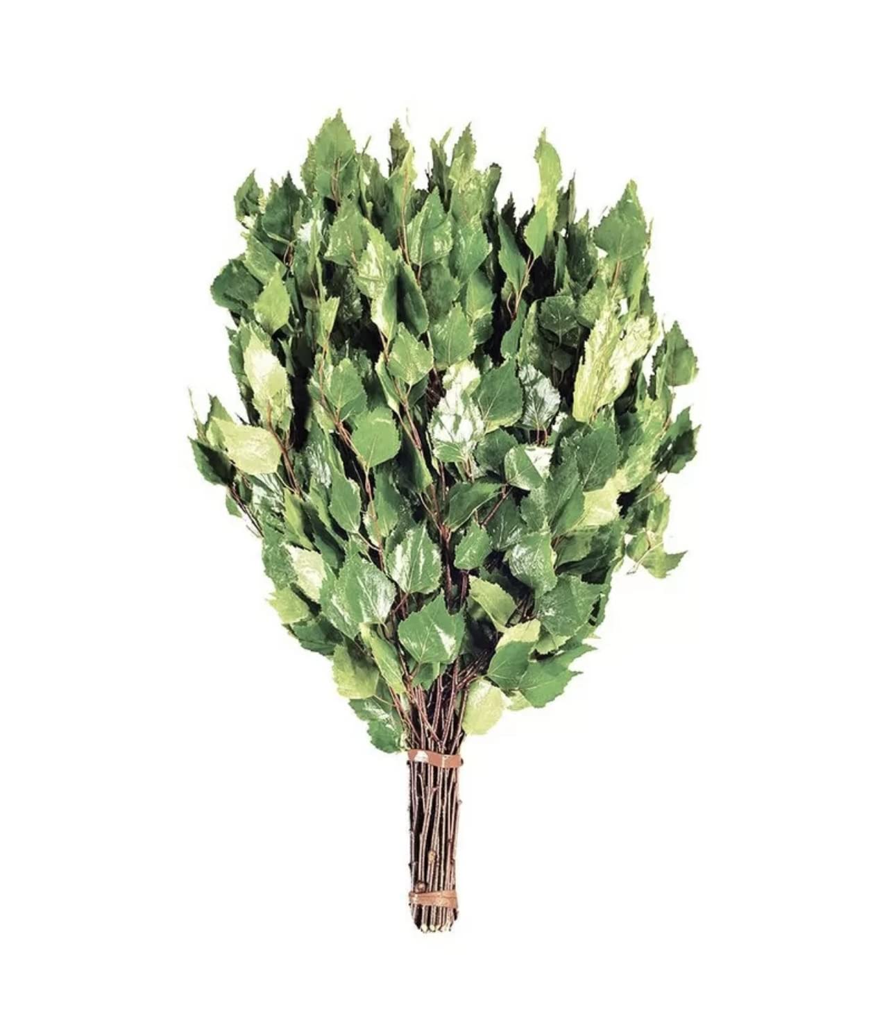 GERBE DE BRANCHES 10PCS SET (5 bouleaux et 5 fouets chêne)