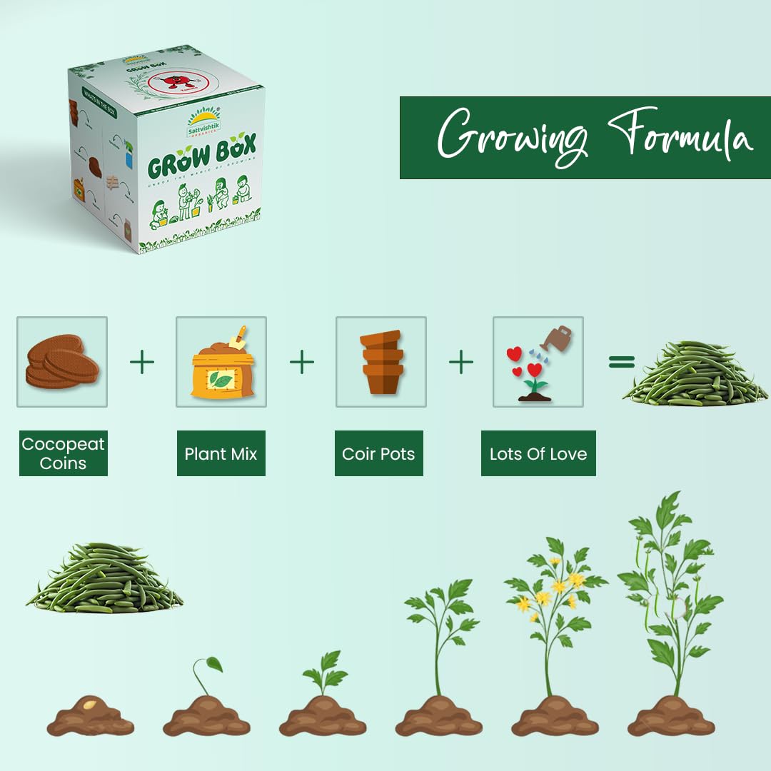 SATTVAMRIT Sattvishtik Grow Box Beans Vegetable Kit for Kids | Pack of 1 | Eco Friendly Gift for Kids | Beginner Gardeners | DIY | Easy Grow it Yourself Gardening Kit for Home & Garden 1