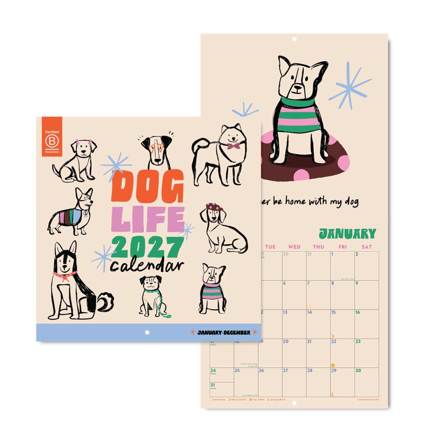 Good Tuesday - 2027 Dog Life Wall Calendar - Large Month to View Dog Calendar with Sunday Start - UK & US Holidays, Week Numbers and Moon Phases - Printed on Recycled Paper - Made in the UK
