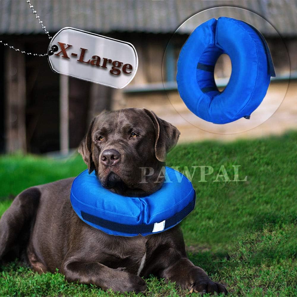 Recovery Waterproof Collar Pillow for Dogs and Cats Comfy Cone Soft Inflatable Donut Collar (X-Large - Inflatable Collar)