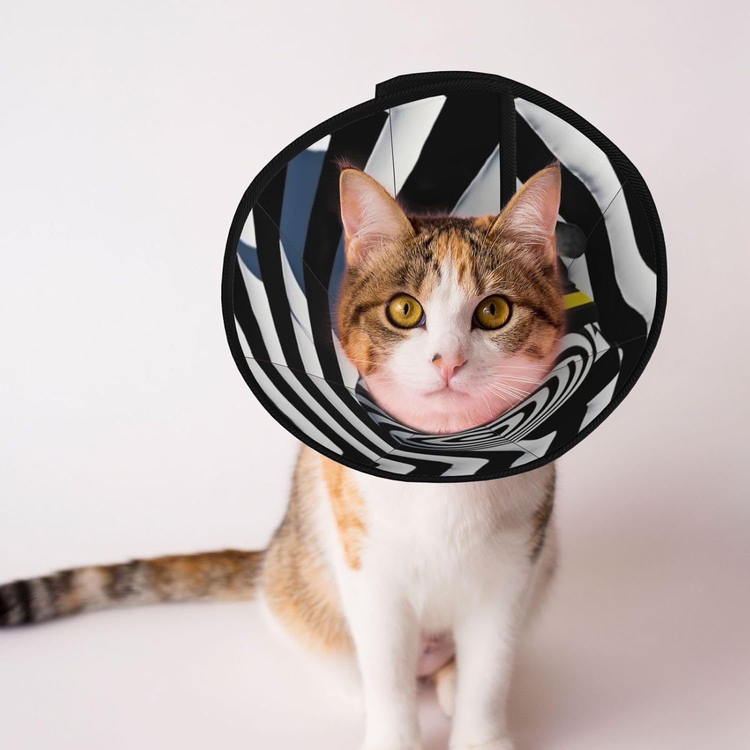 Custom Pet Cones - Unique Design Cat & Dog Cone, Collar for Post-Surgery Recovery, Adjustable Neck Dazzling Camouflage Small