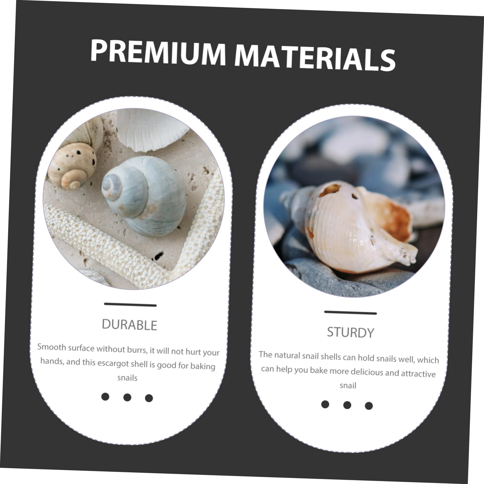 BESPORTBLE 15piezas Natural Escargot Shells para Cocinar Caracoles Al Horno Elegantes y Comestibles para Preparaciones Francesas Resistente y Práctico para Gastronomía