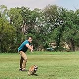 Chuckit! 261753/3931 Whistle Flight