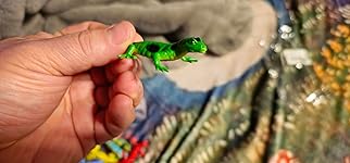 Review Image by Joseph Stinson