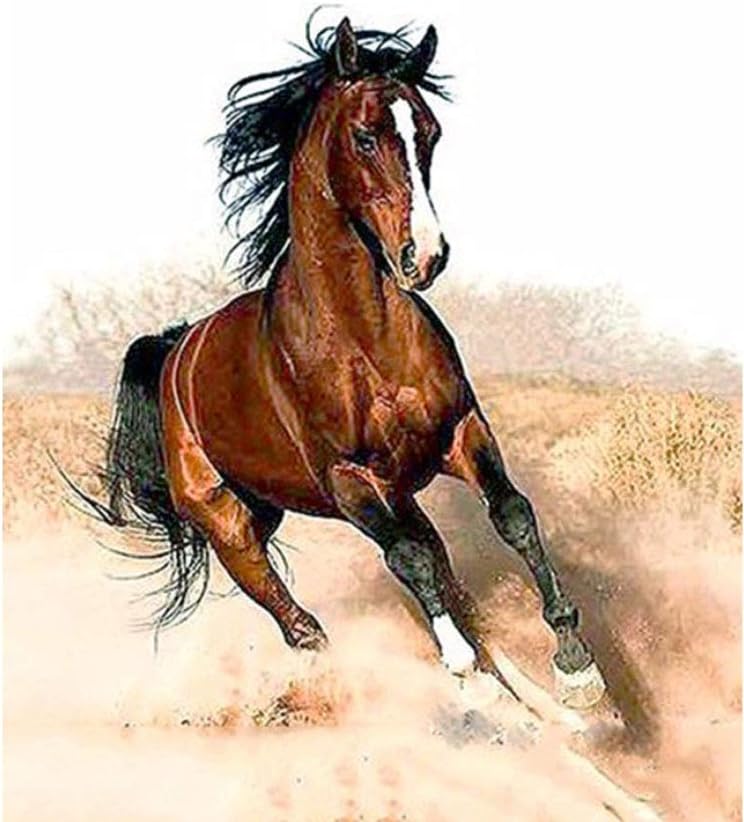 SUBERY DIY Oil Painting Paint by Number Kits for Adults Kids Beginner, Great Gift and Home Decor - A Running Horse 16x20 inches (Without Frame)